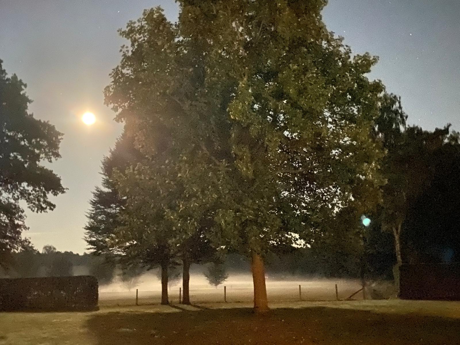 Foto 42 van Eikenlaan 13