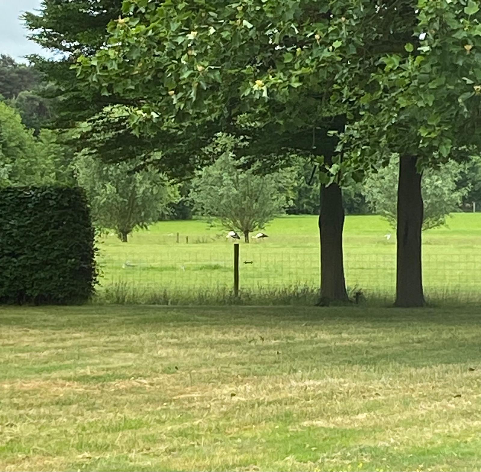 Foto 39 van Eikenlaan 13