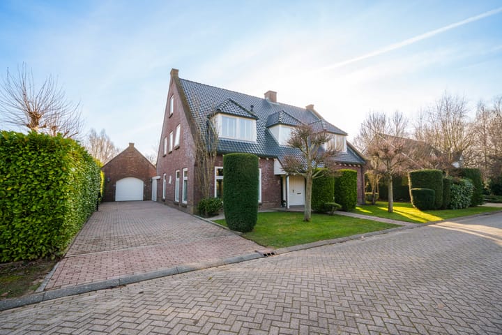 Foto 1 van Schaakveld 39