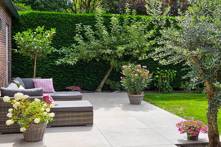 Foto 51 van Schaakveld 39