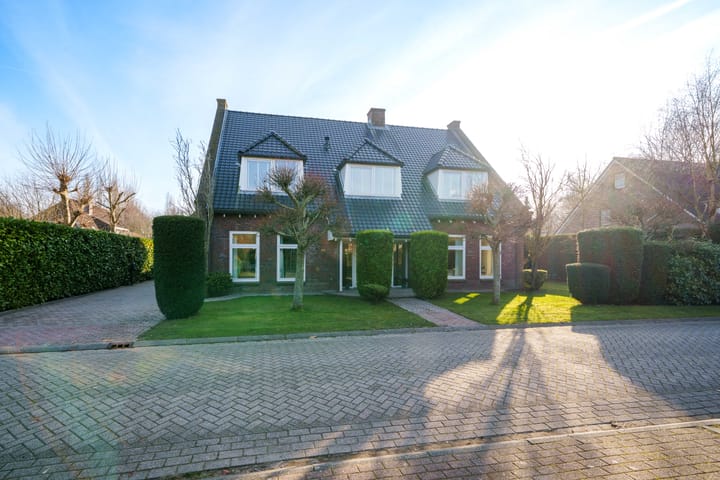 Foto 53 van Schaakveld 39