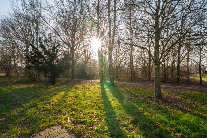 Foto 55 van Schaakveld 39