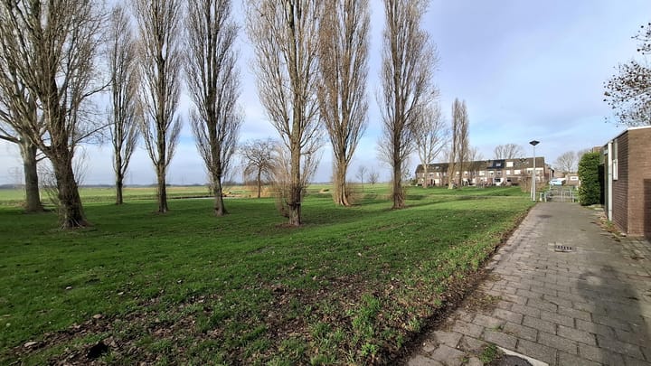 Photo 13 of Offenbachstraat 10