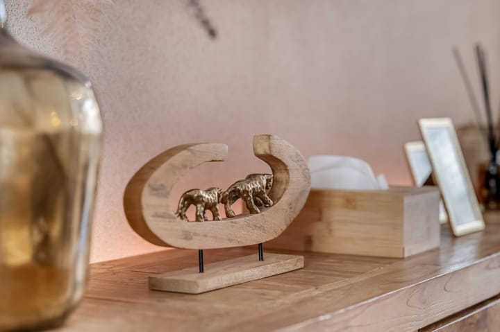 Photo 6 of Dahliastraat 23