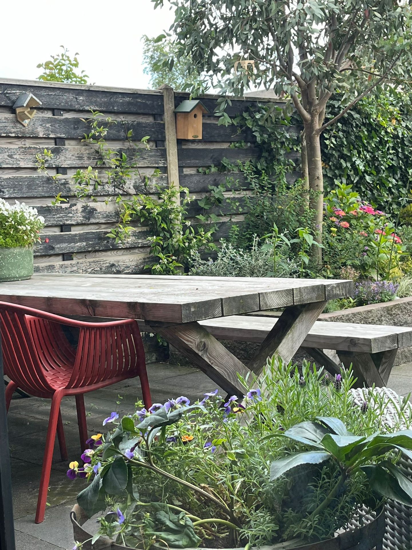 Foto 35 van Punter 7