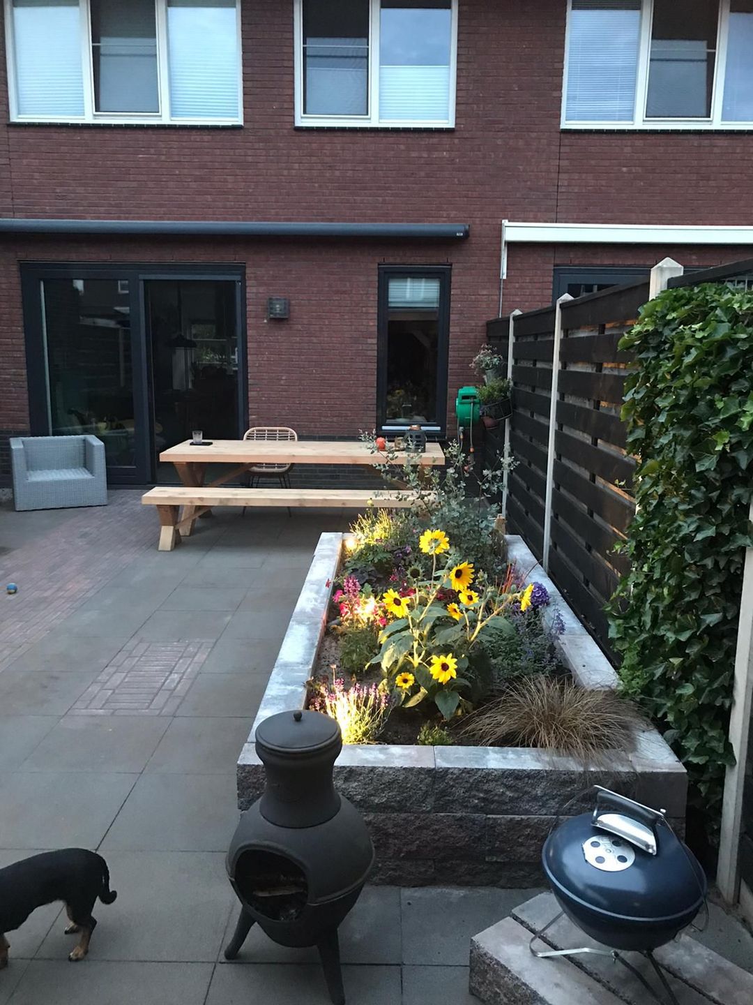 Foto 37 van Punter 7