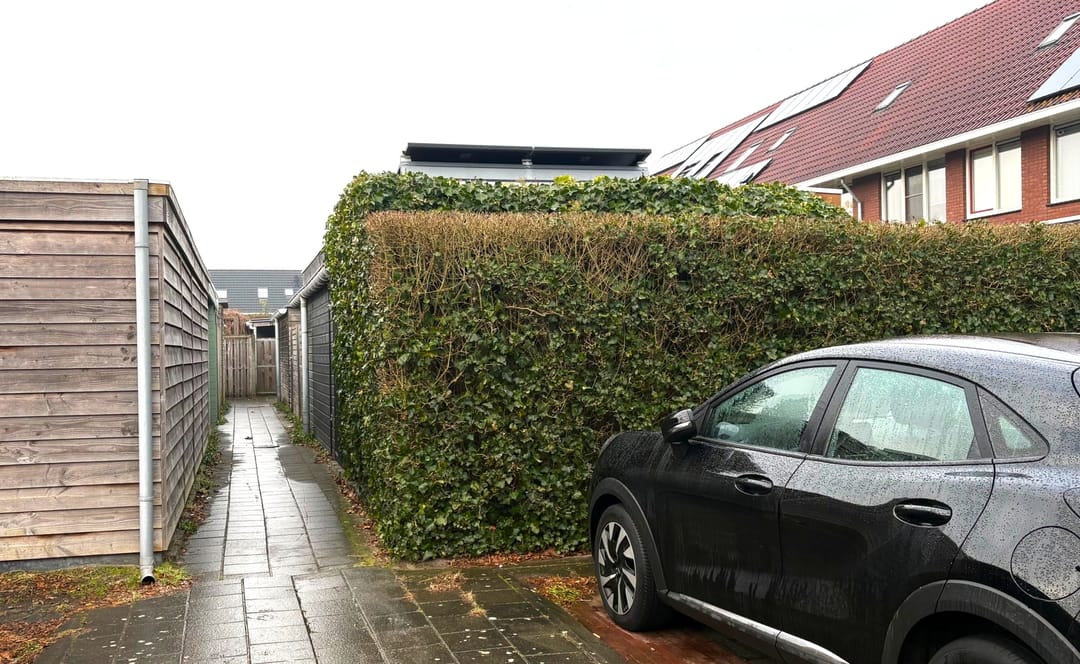 Foto 43 van Punter 7