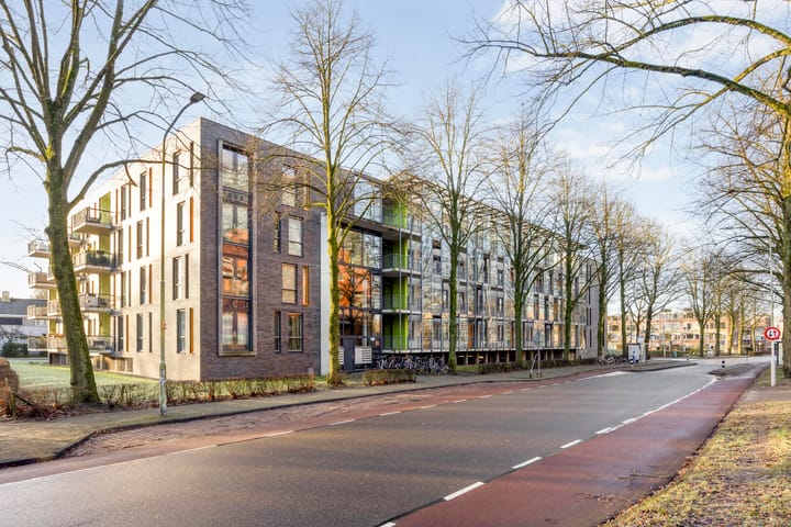 Photo 5 of Hollandseweg 308