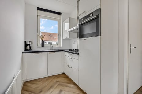 Citroenvlinder 10 tertiary image