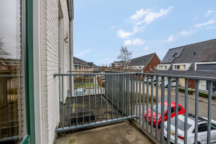 Photo 10 of Citroenvlinder 10