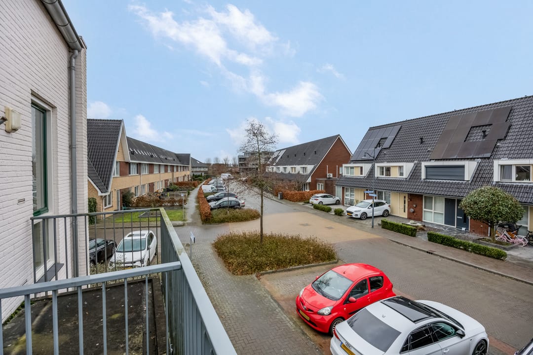 Foto 11 van Citroenvlinder 10