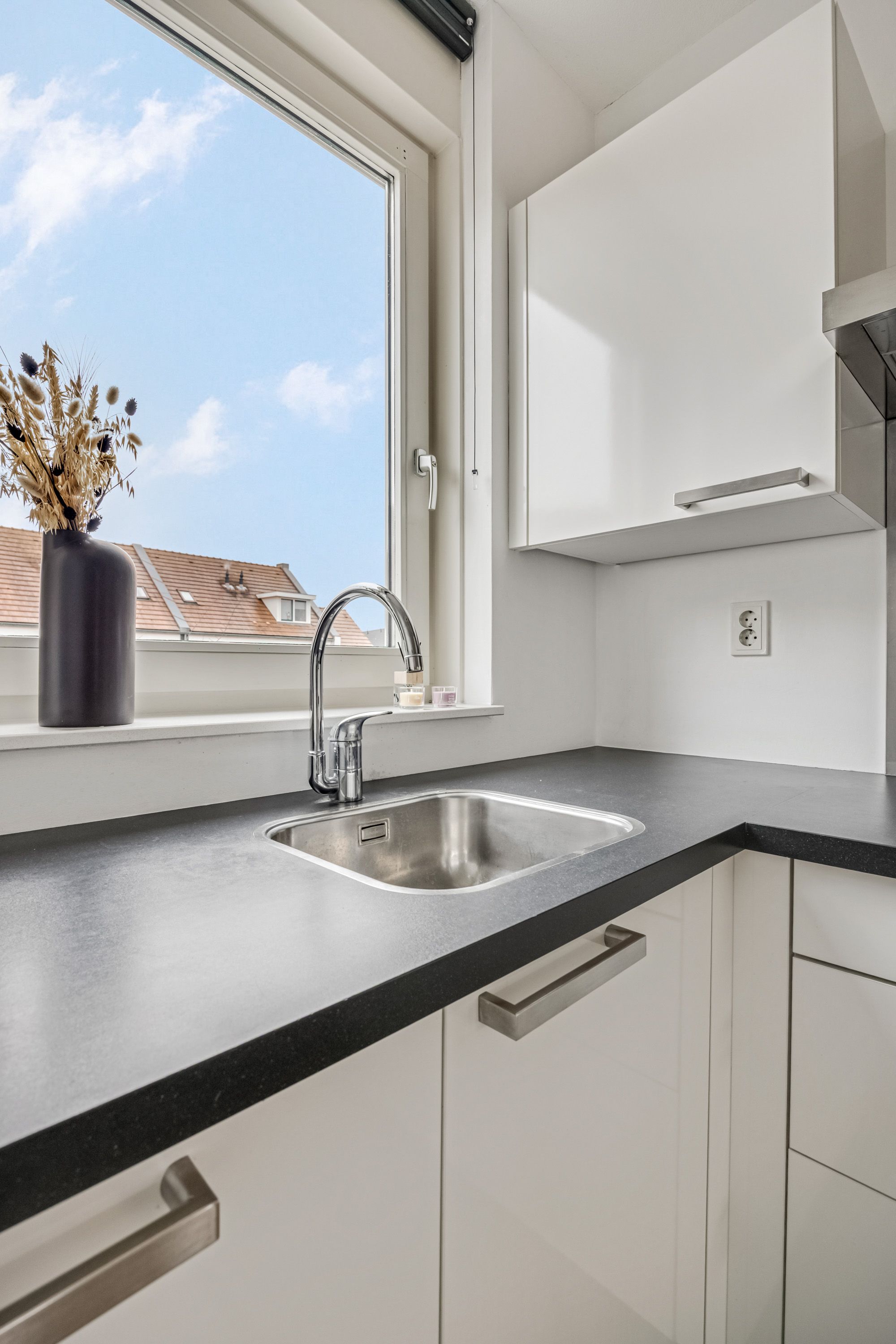 Foto 15 van Citroenvlinder 10