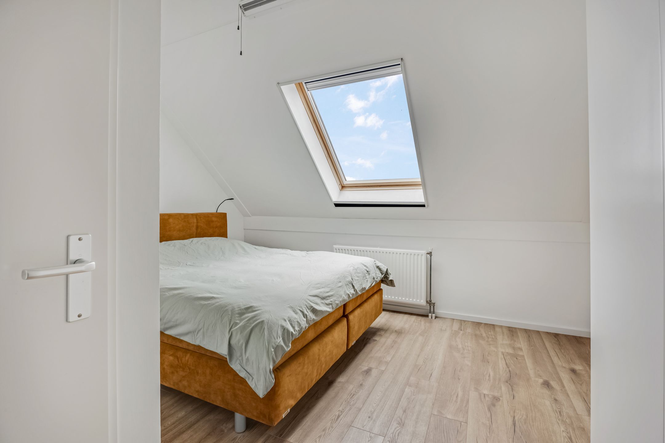 Foto 18 van Citroenvlinder 10