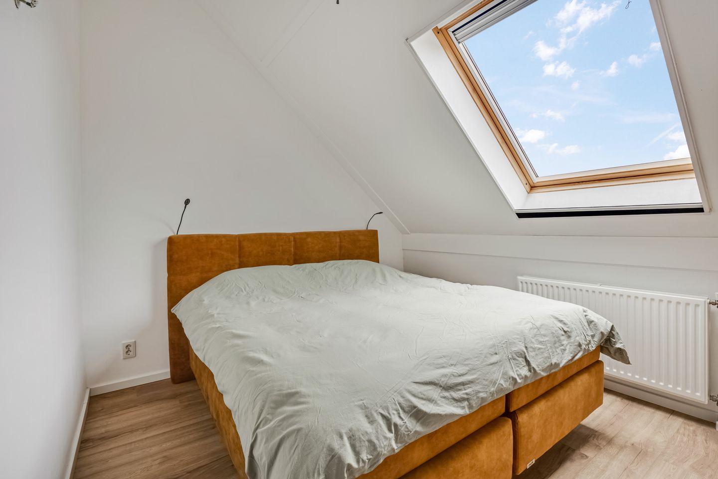 Foto 19 van Citroenvlinder 10