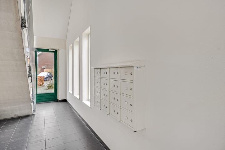 Photo 27 of Citroenvlinder 10