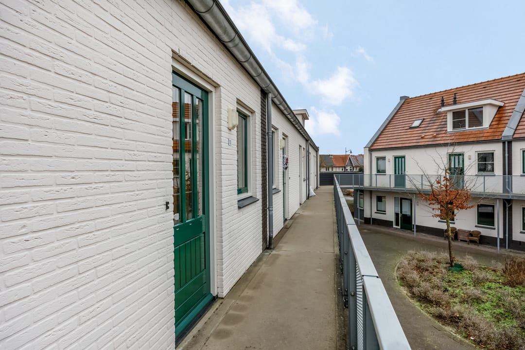 Foto 28 van Citroenvlinder 10