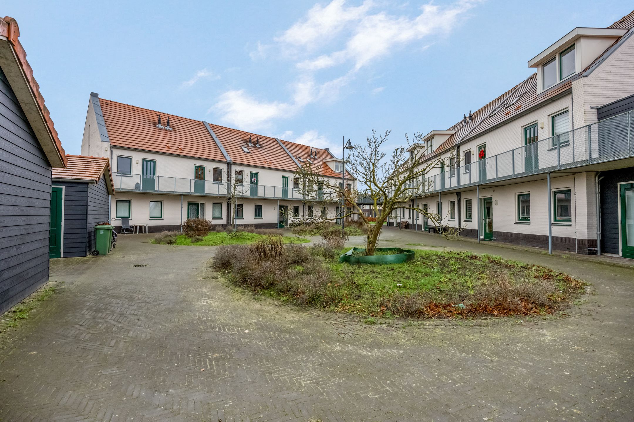 Foto 30 van Citroenvlinder 10