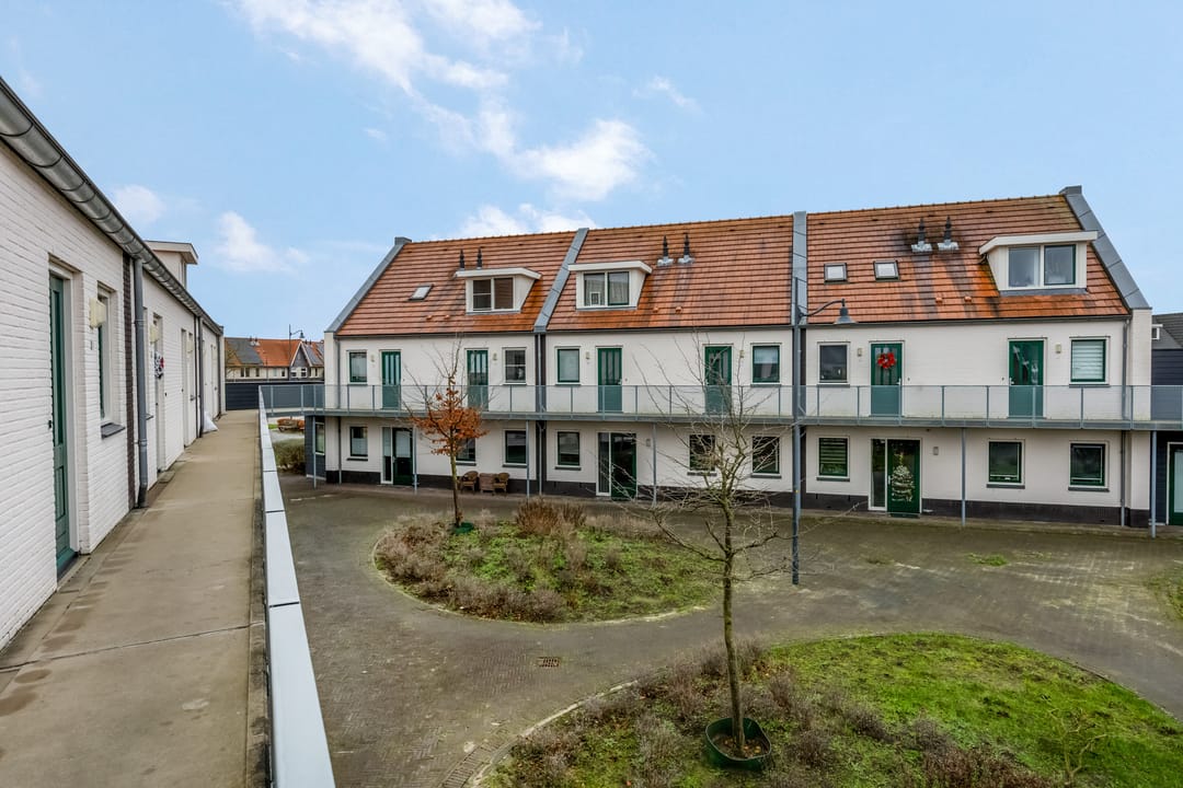 Foto 31 van Citroenvlinder 10