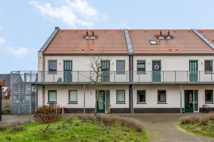 Photo 32 of Citroenvlinder 10