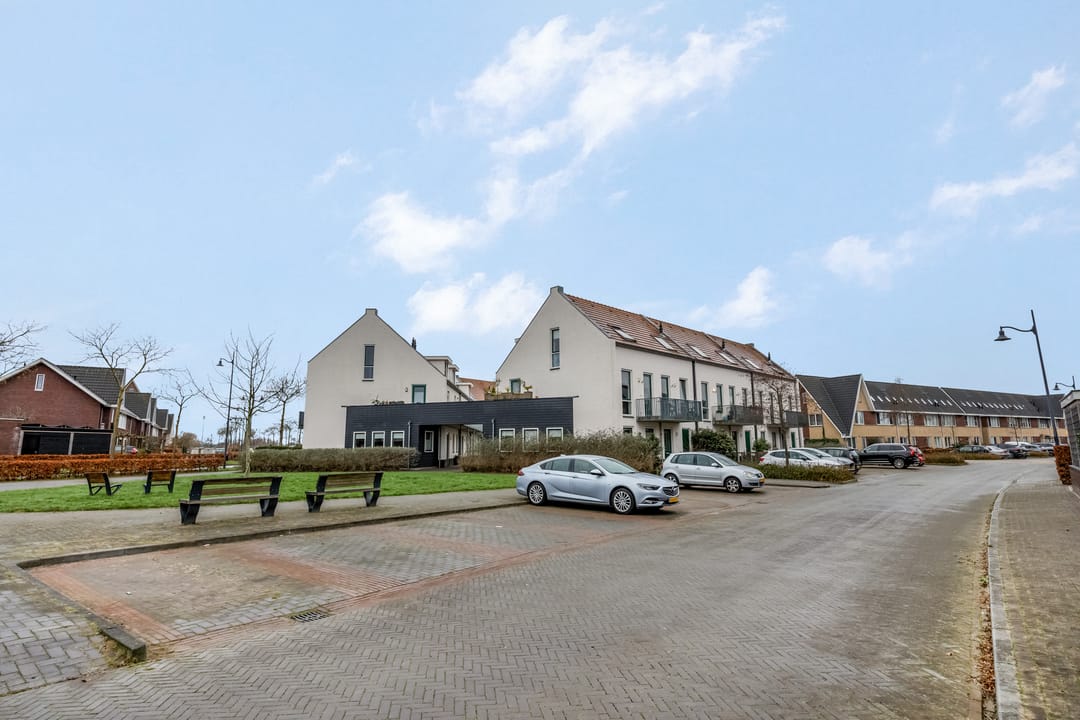 Foto 37 van Citroenvlinder 10