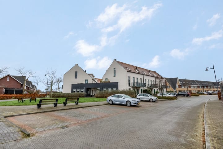 Photo 37 of Citroenvlinder 10