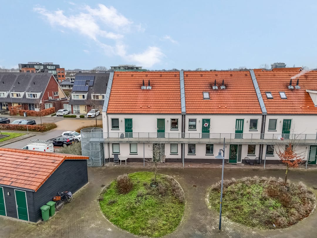 Foto 38 van Citroenvlinder 10