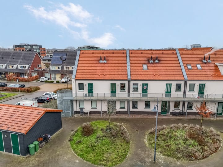 Photo 38 of Citroenvlinder 10