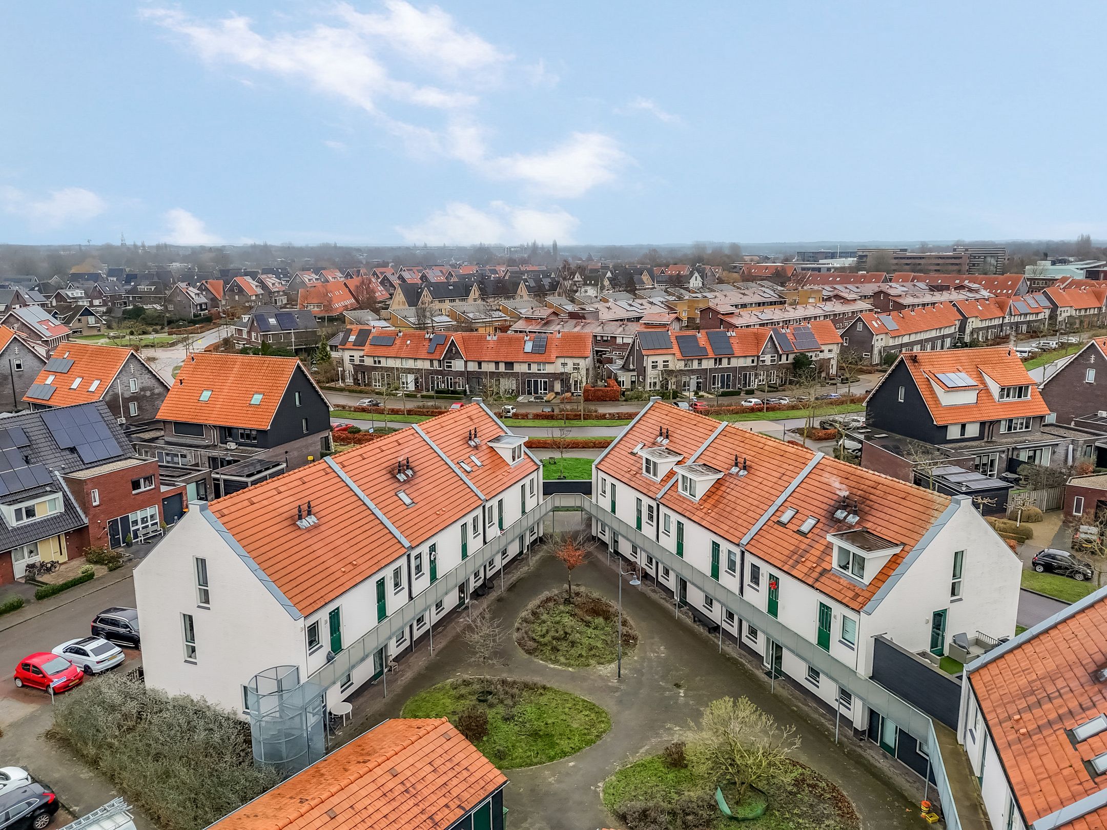 Foto 39 van Citroenvlinder 10