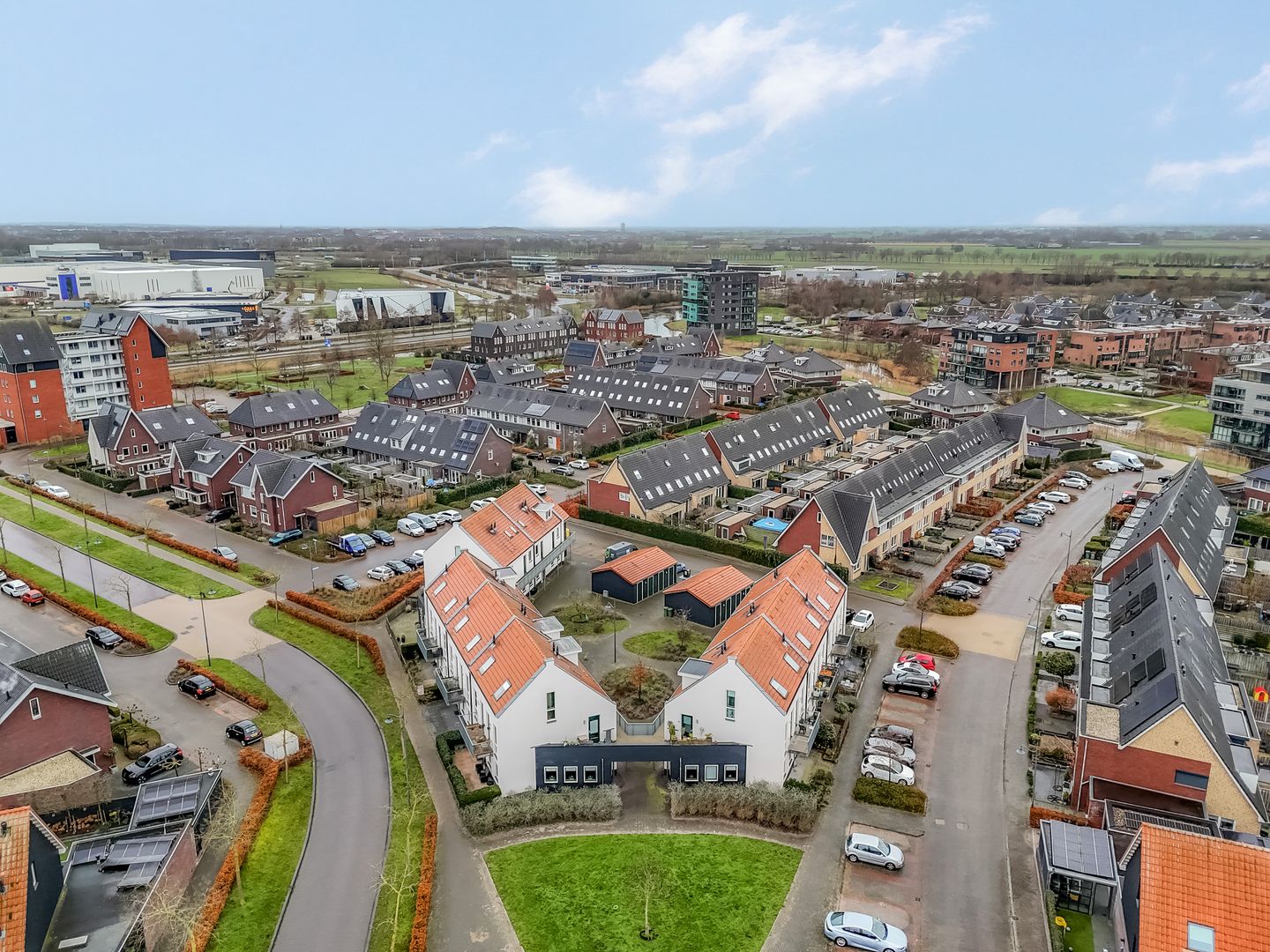 Foto 40 van Citroenvlinder 10