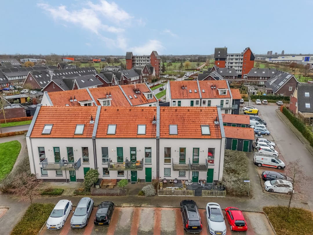 Foto 41 van Citroenvlinder 10