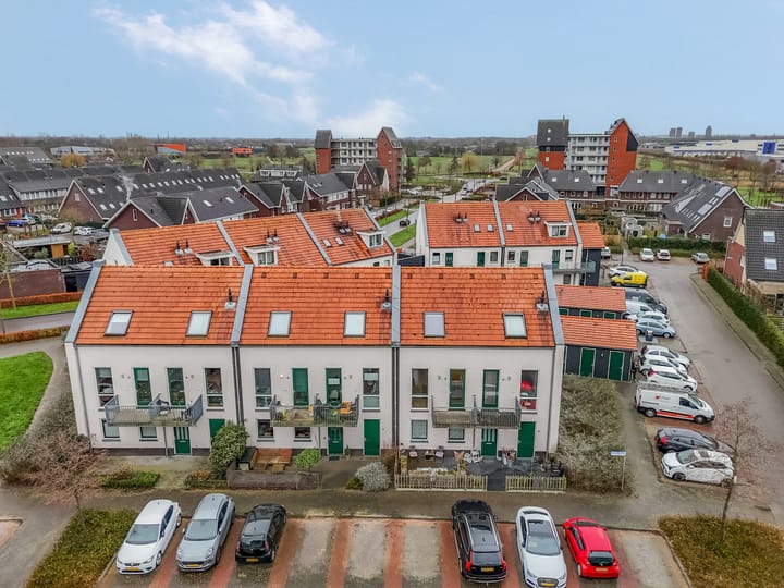 Photo 41 of Citroenvlinder 10