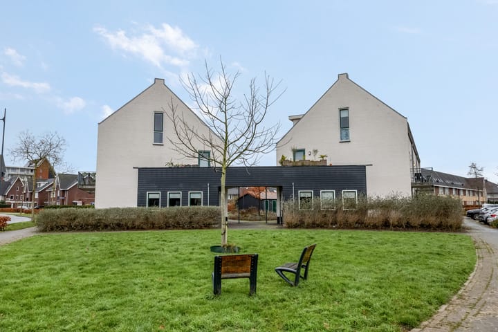 Photo 36 of Citroenvlinder 10