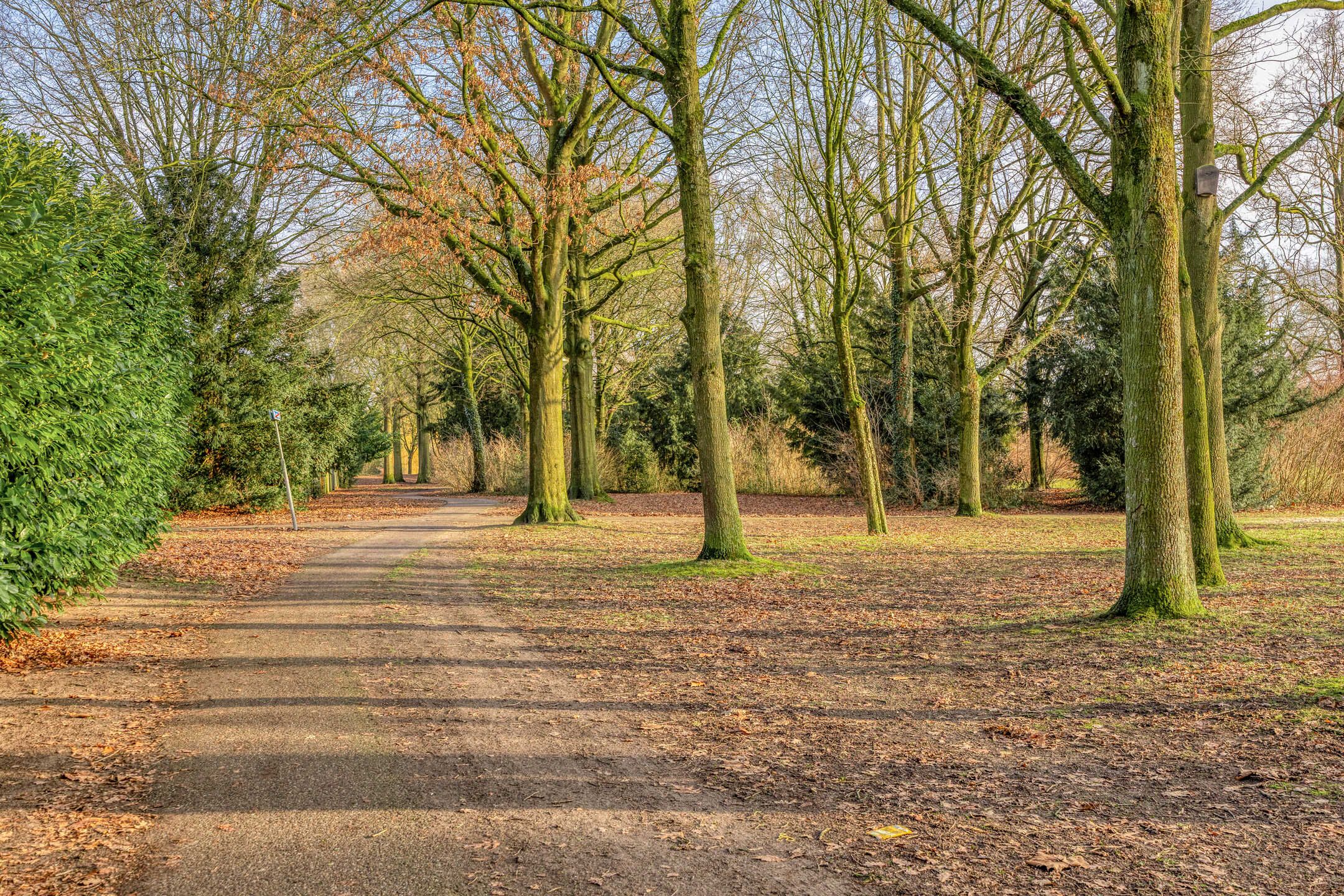 Photo 42 of Dokter Kanterslaan 3