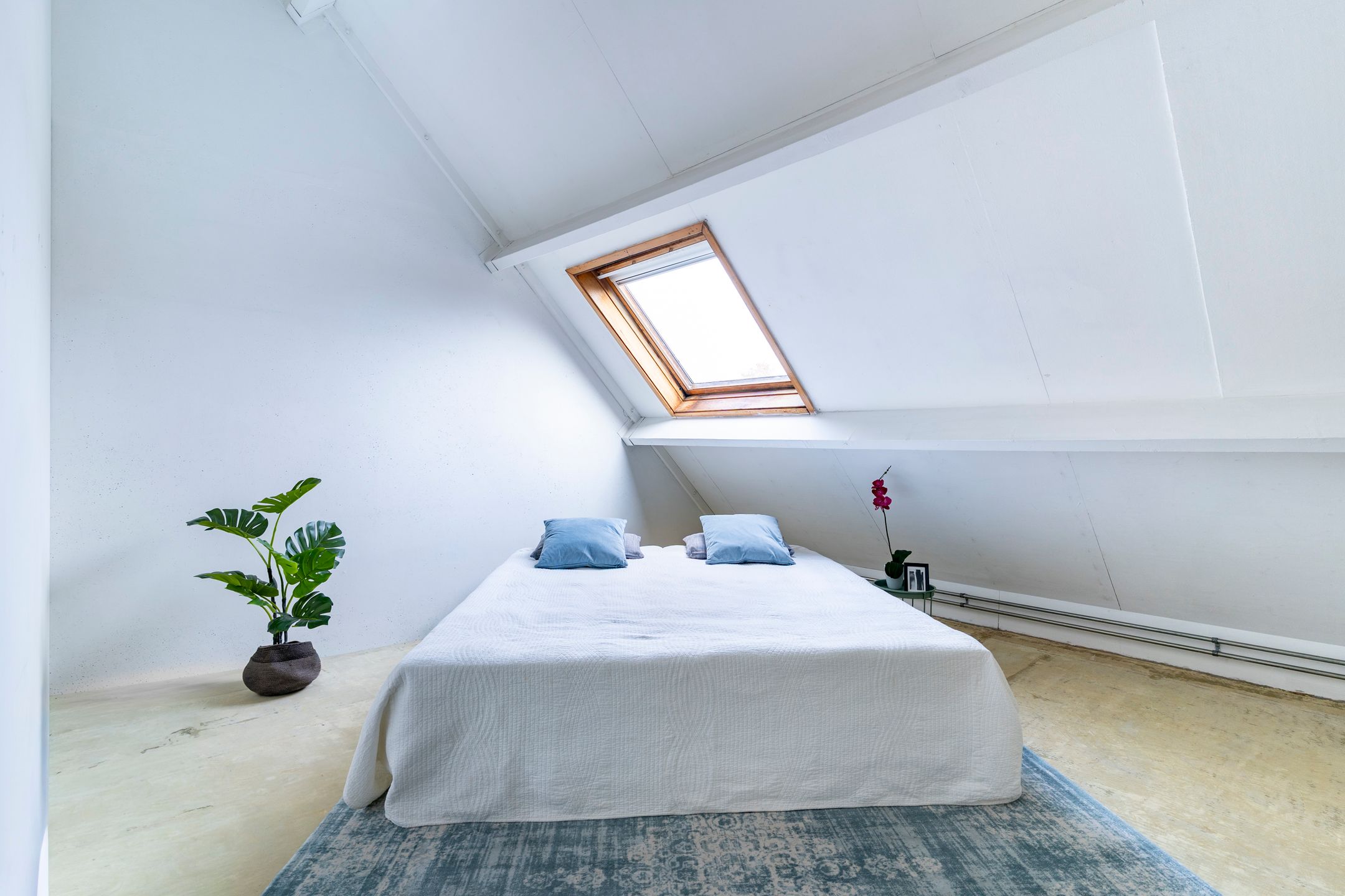 Foto 27 van Kooikersweide 12