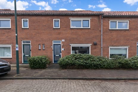 undefined main image