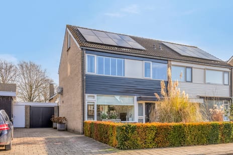 undefined main image