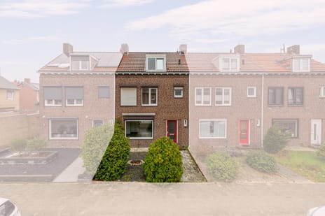 undefined main image