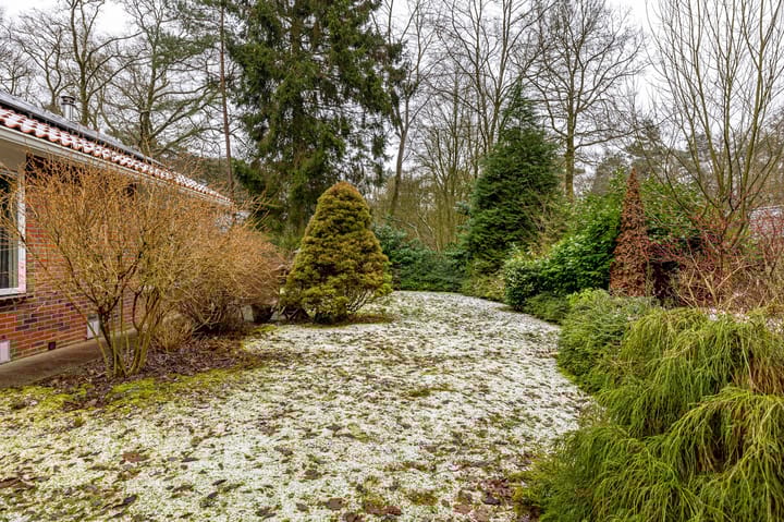 Foto 58 van Hoogte der Heide 10-5