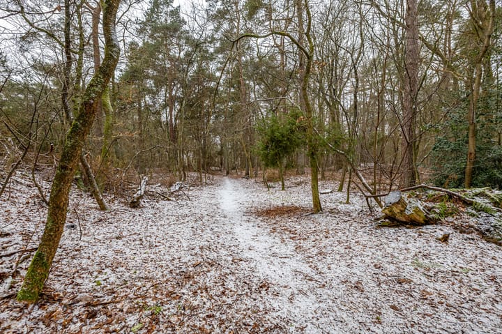 Foto 59 van Hoogte der Heide 10-5