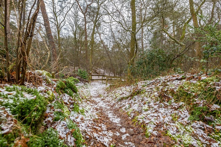 Foto 61 van Hoogte der Heide 10-5