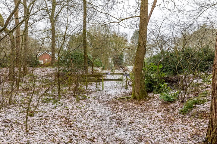 Foto 63 van Hoogte der Heide 10-5