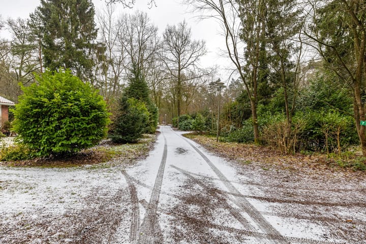 Foto 64 van Hoogte der Heide 10-5