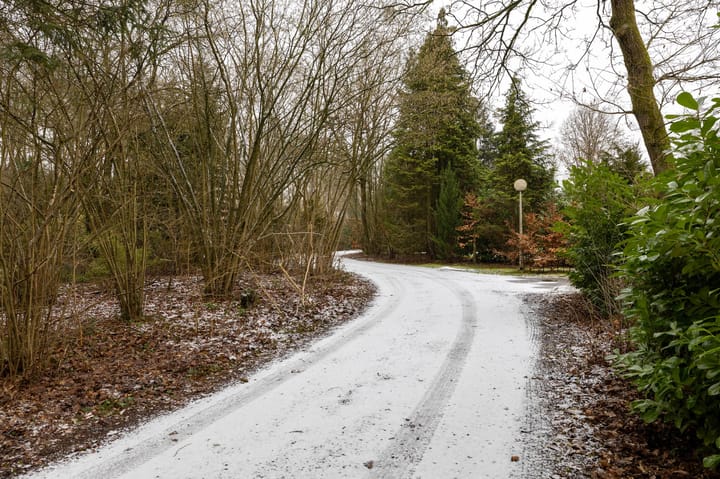 Foto 65 van Hoogte der Heide 10-5