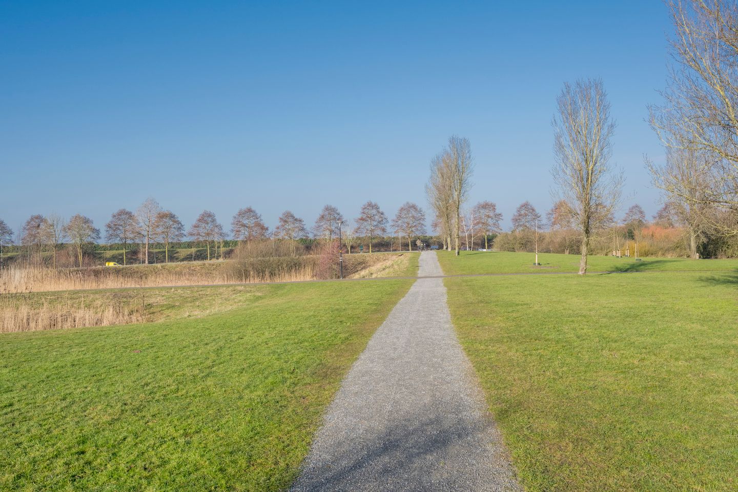 Foto 40 van Galjoen 122