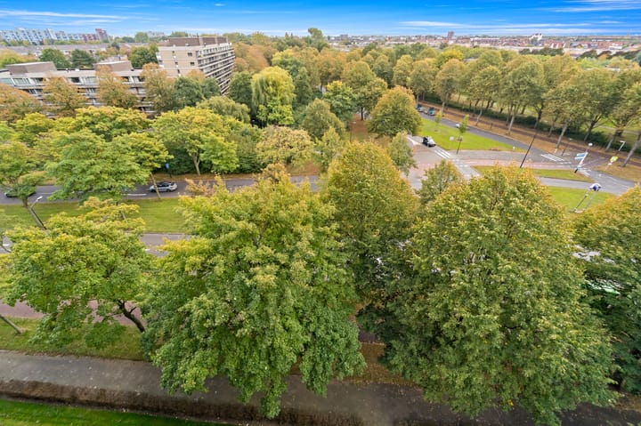 Foto 10 van Thomas Jeffersonlaan 515