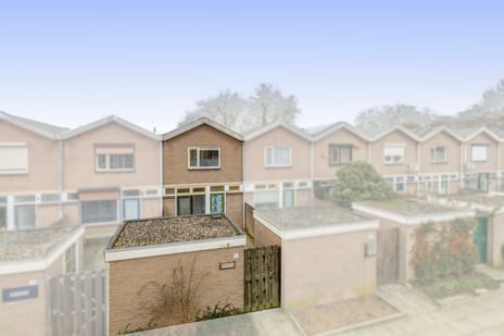 undefined main image