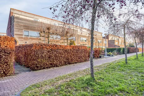 undefined main image