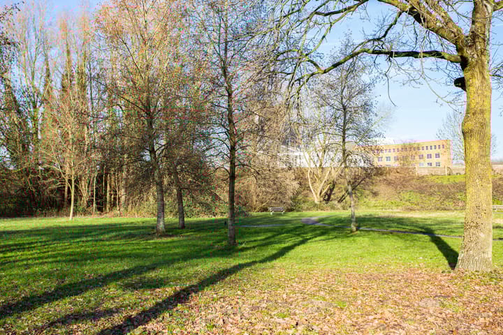 Foto 25 van Albert van Dalsumlaan 319