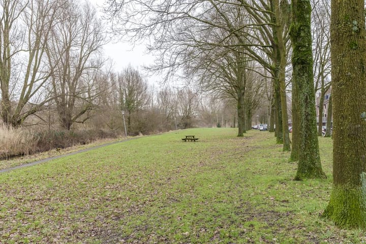 Foto 26 van Albert van Dalsumlaan 319