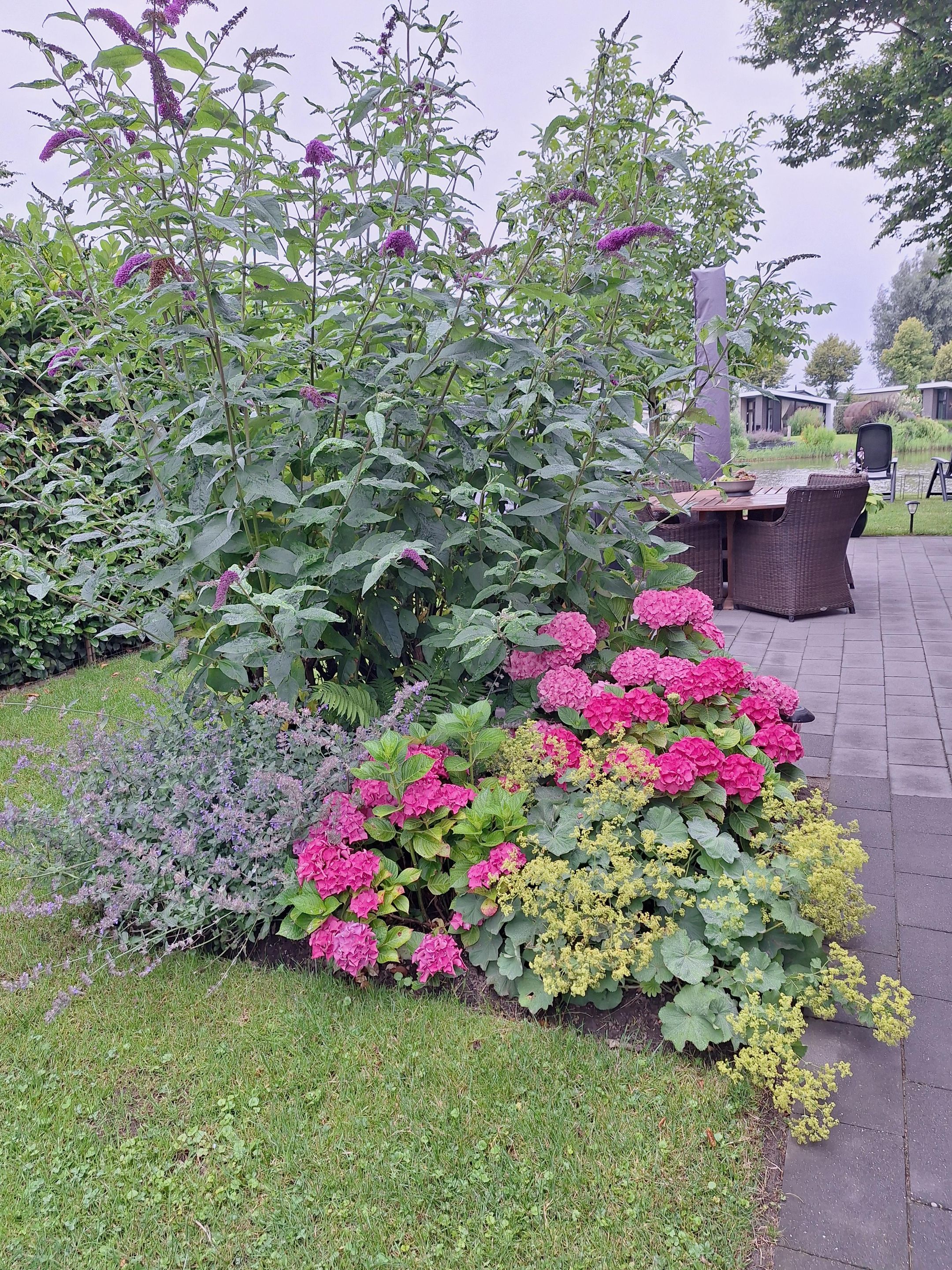 Photo 6 of Zaaiwaard 3-A32